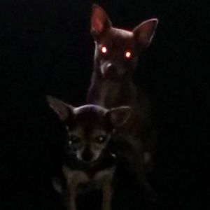 Meet your Posher, Nadia